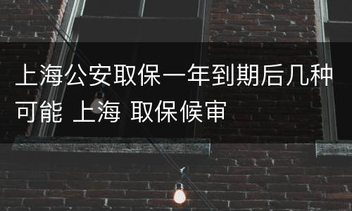 上海公安取保一年到期后几种可能 上海 取保候审