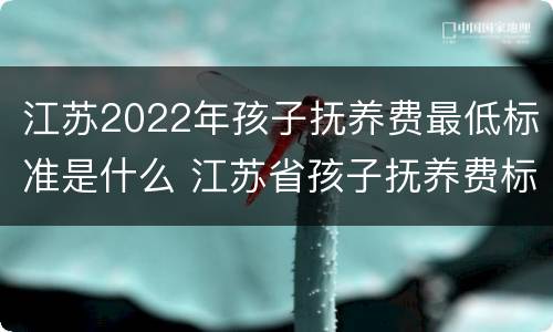 江苏2022年孩子抚养费最低标准是什么 江苏省孩子抚养费标准