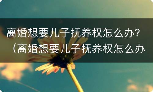 离婚想要儿子抚养权怎么办？（离婚想要儿子抚养权怎么办手续）
