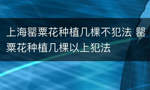 上海罂粟花种植几棵不犯法 罂粟花种植几棵以上犯法