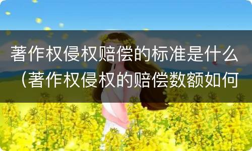 著作权侵权赔偿的标准是什么（著作权侵权的赔偿数额如何确定）
