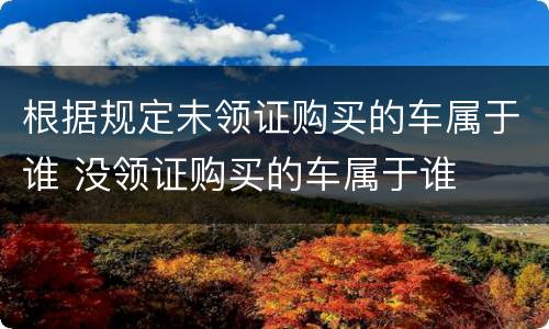 根据规定未领证购买的车属于谁 没领证购买的车属于谁