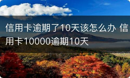 信用卡逾期了10天该怎么办 信用卡10000逾期10天