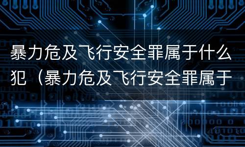 暴力危及飞行安全罪属于什么犯（暴力危及飞行安全罪属于什么犯罪）