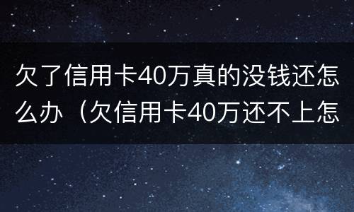 欠了信用卡40万真的没钱还怎么办（欠信用卡40万还不上怎么办）