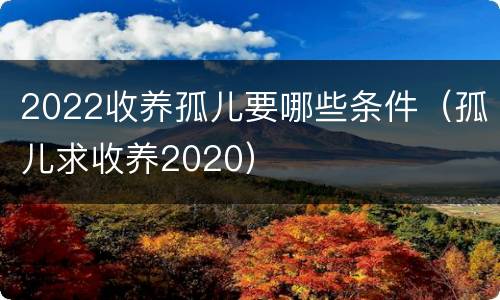 2022收养孤儿要哪些条件（孤儿求收养2020）
