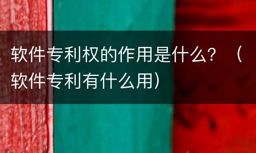 软件专利权的作用是什么？（软件专利有什么用）