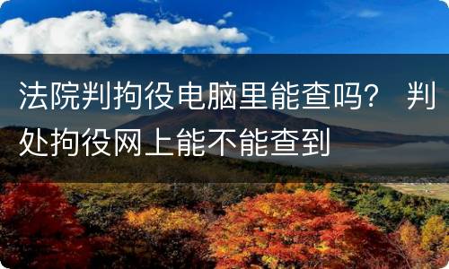 法院判拘役电脑里能查吗？ 判处拘役网上能不能查到