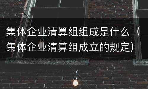 集体企业清算组组成是什么（集体企业清算组成立的规定）