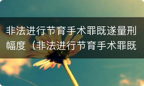 非法进行节育手术罪既遂量刑幅度（非法进行节育手术罪既遂量刑幅度是多少）