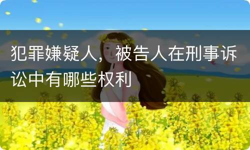 犯罪嫌疑人，被告人在刑事诉讼中有哪些权利