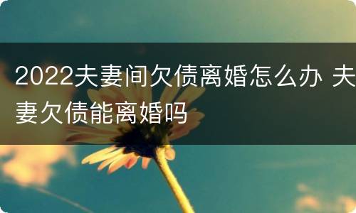 2022夫妻间欠债离婚怎么办 夫妻欠债能离婚吗