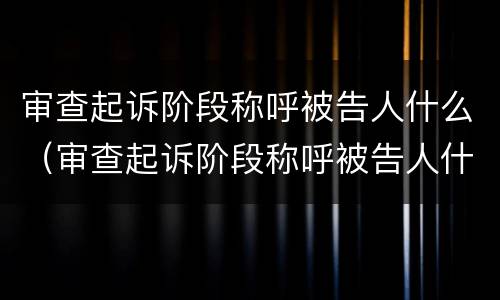 审查起诉阶段称呼被告人什么（审查起诉阶段称呼被告人什么呢）