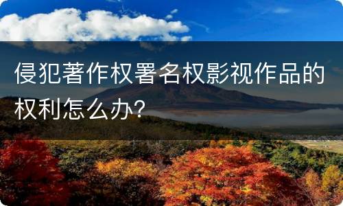 侵犯著作权署名权影视作品的权利怎么办？