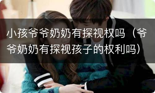 小孩爷爷奶奶有探视权吗（爷爷奶奶有探视孩子的权利吗）