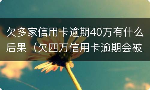 欠多家信用卡逾期40万有什么后果（欠四万信用卡逾期会被判刑吗）