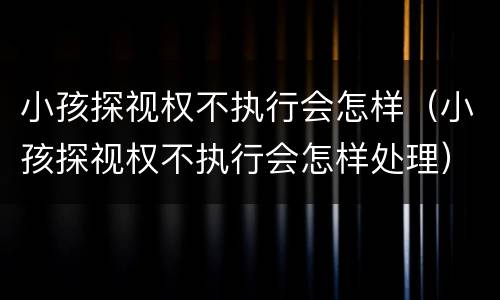 小孩探视权不执行会怎样（小孩探视权不执行会怎样处理）