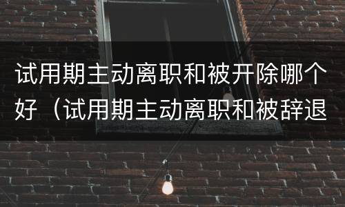 试用期主动离职和被开除哪个好（试用期主动离职和被辞退的区别）