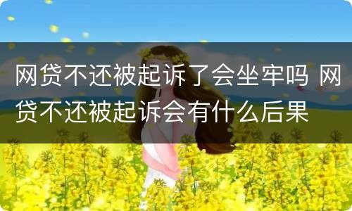 网贷不还被起诉了会坐牢吗 网贷不还被起诉会有什么后果