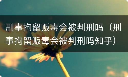 刑事拘留贩毒会被判刑吗（刑事拘留贩毒会被判刑吗知乎）