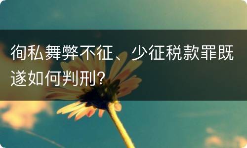徇私舞弊不征、少征税款罪既遂如何判刑?