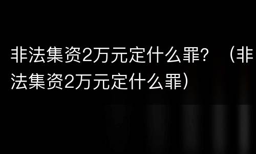 非法集资2万元定什么罪？（非法集资2万元定什么罪）