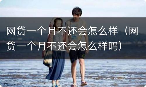 网贷一个月不还会怎么样（网贷一个月不还会怎么样吗）