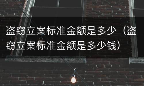 盗窃立案标准金额是多少（盗窃立案标准金额是多少钱）