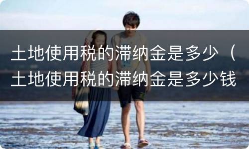 土地使用税的滞纳金是多少（土地使用税的滞纳金是多少钱）