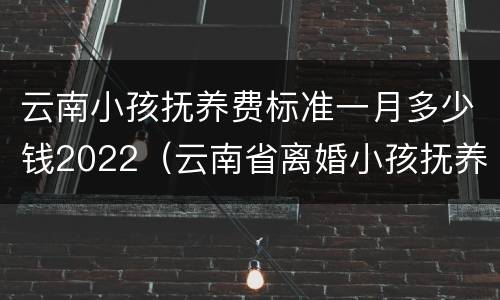 云南小孩抚养费标准一月多少钱2022（云南省离婚小孩抚养费怎么算）