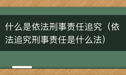 什么是依法刑事责任追究（依法追究刑事责任是什么法）