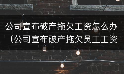 公司宣布破产拖欠工资怎么办（公司宣布破产拖欠员工工资怎么办）