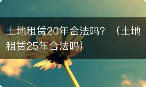 土地租赁20年合法吗？（土地租赁25年合法吗）