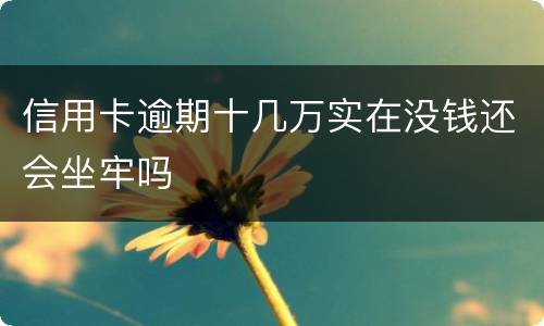 信用卡逾期十几万实在没钱还会坐牢吗