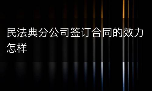 民法典分公司签订合同的效力怎样