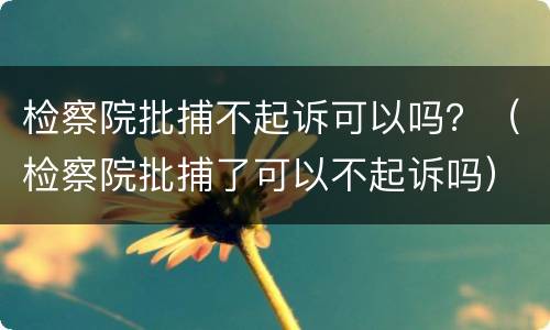 检察院批捕不起诉可以吗？（检察院批捕了可以不起诉吗）