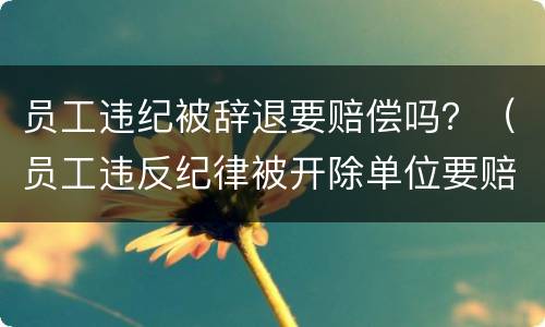 员工违纪被辞退要赔偿吗？（员工违反纪律被开除单位要赔偿吗）