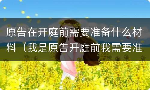原告在开庭前需要准备什么材料（我是原告开庭前我需要准备什么?）