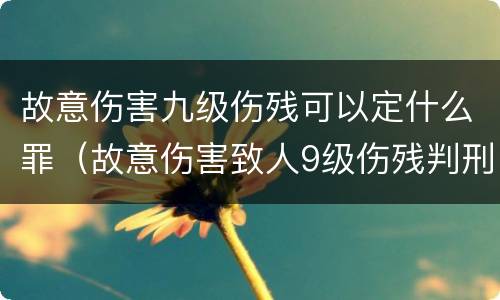 故意伤害九级伤残可以定什么罪（故意伤害致人9级伤残判刑）