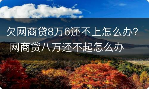 欠网商贷8万6还不上怎么办？ 网商贷八万还不起怎么办