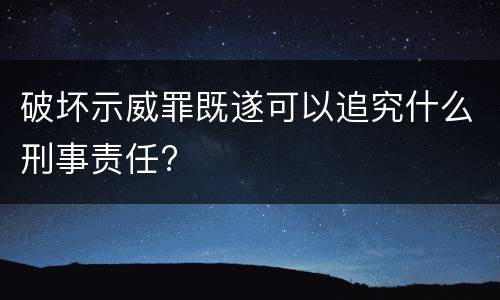 破坏示威罪既遂可以追究什么刑事责任?