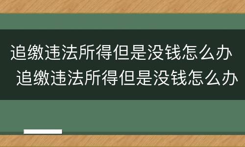 追缴违法所得但是没钱怎么办 追缴违法所得但是没钱怎么办呢