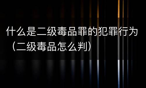 什么是二级毒品罪的犯罪行为（二级毒品怎么判）