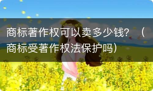 商标著作权可以卖多少钱？（商标受著作权法保护吗）