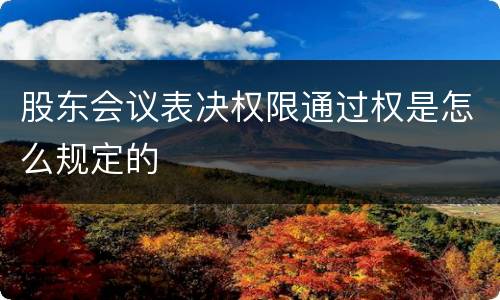 股东会议表决权限通过权是怎么规定的