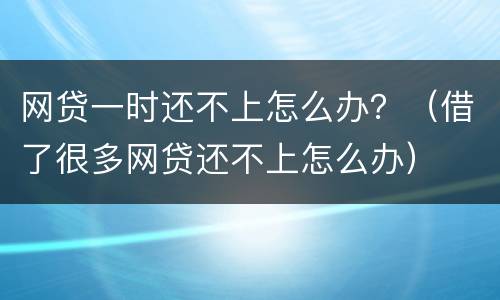 网贷一时还不上怎么办？（借了很多网贷还不上怎么办）