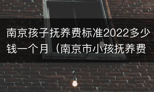 南京孩子抚养费标准2022多少钱一个月（南京市小孩抚养费标准）