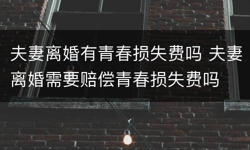 夫妻离婚有青春损失费吗 夫妻离婚需要赔偿青春损失费吗
