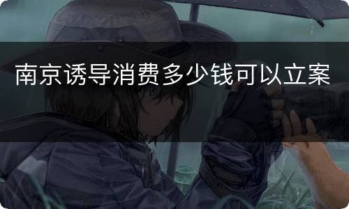 南京诱导消费多少钱可以立案