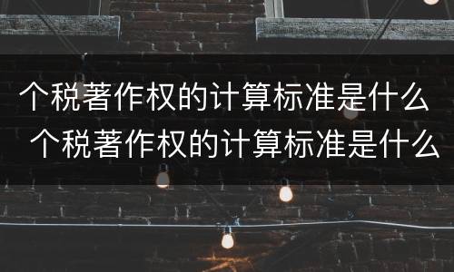 个税著作权的计算标准是什么 个税著作权的计算标准是什么意思